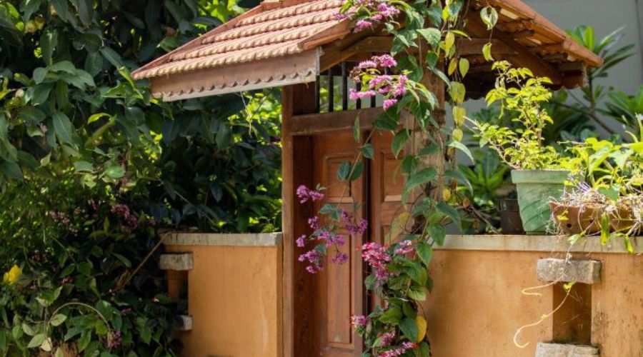 Untitled design - 2024-05-20T150505.791