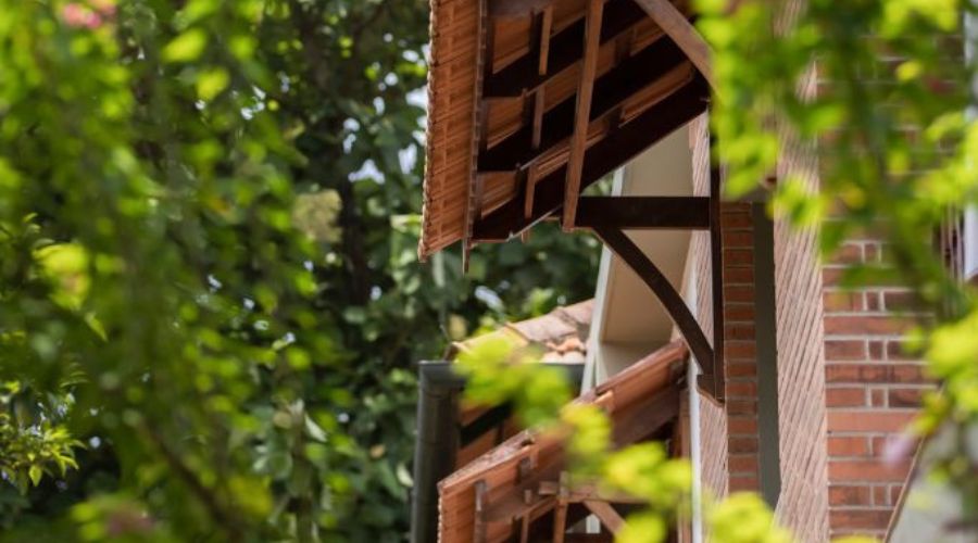 Untitled design - 2024-05-20T150859.235